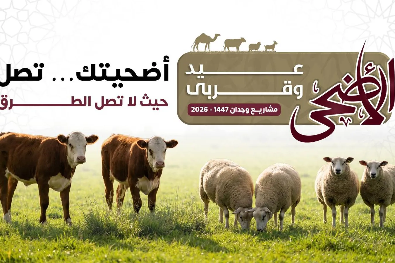 الأضحى عيد وقربى